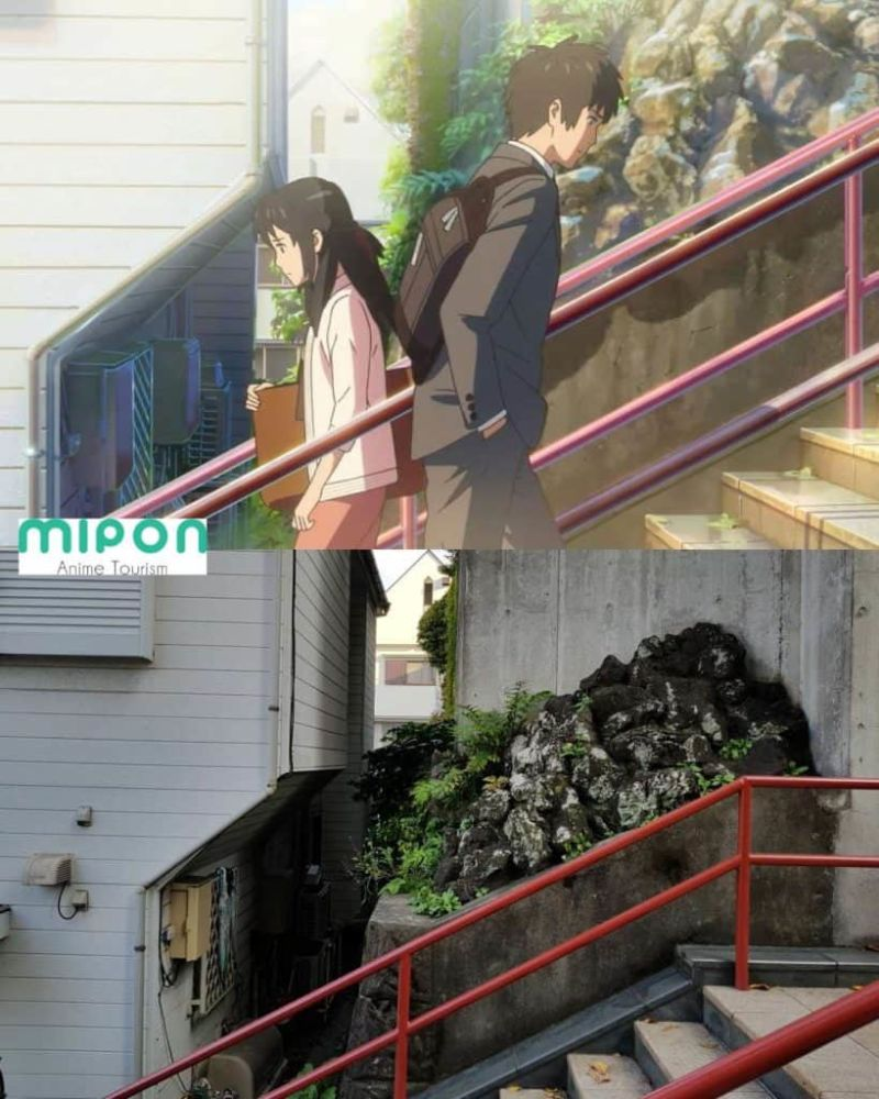 Foto: Mipon